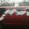 a sweeping stroke of snow on a red van. if only for a moment  